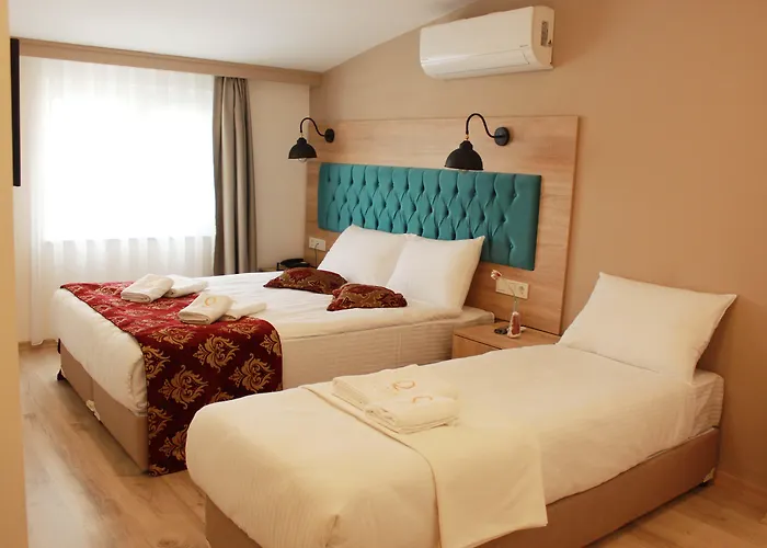 The Laila Hotel